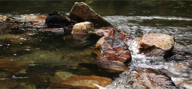Klares Wasser der Enns