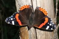 Natur hautnah genießen
